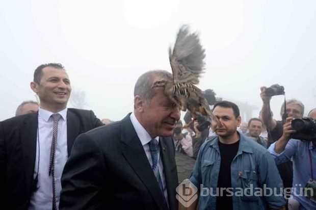Cumhurbaşkanı Erdoğan Kıbledağı camisinin açılışını yaptı