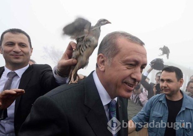 Cumhurbaşkanı Erdoğan Kıbledağı camisinin açılışını yaptı