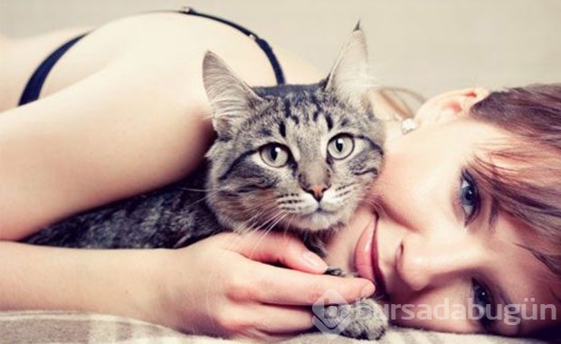 Kedi Sahibi Olmalıyım Dedirten Nedenler