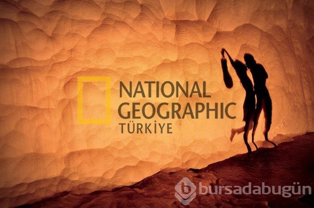 Sizin kareniz: En güzel 50 fotoğraf