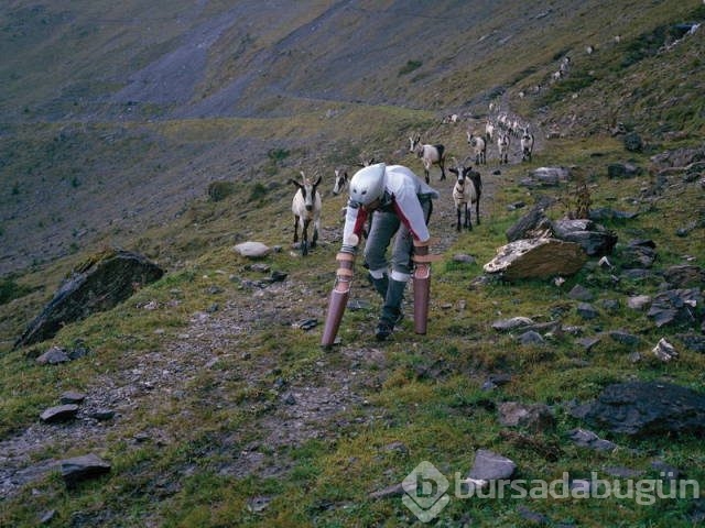 Keçi gibi yaşayan adamın sırrı