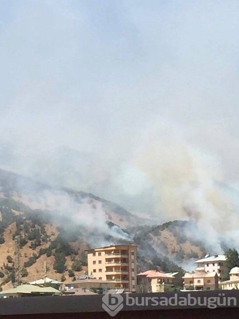 Hakkari şemdinli'de çatışmadan kareler!
