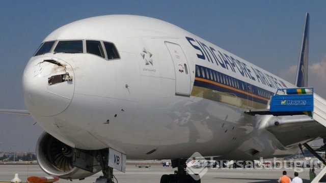 Uçak, burnununda leylek ölüsüyle iniş yaptı
