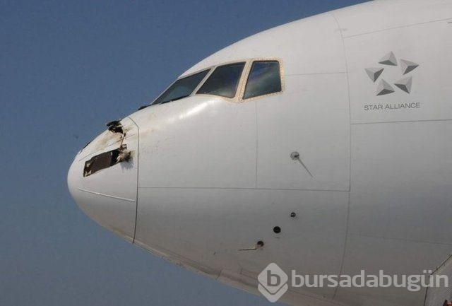 Uçak, burnununda leylek ölüsüyle iniş yaptı