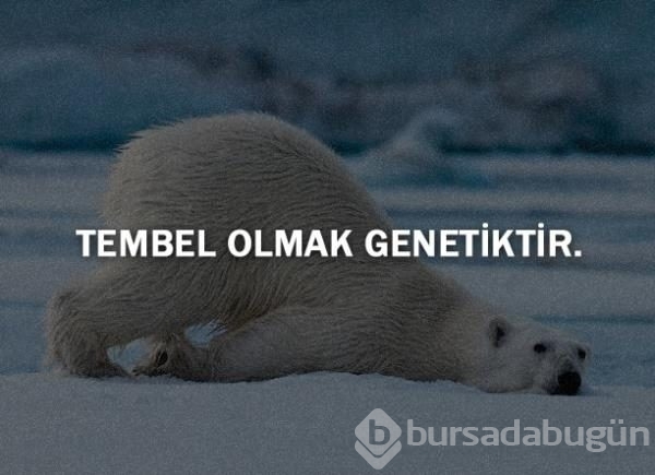 Bunları biliyor musunuz?