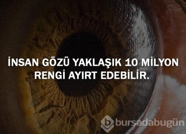 Bunları biliyor musunuz?