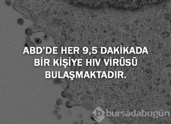 Bunları biliyor musunuz?