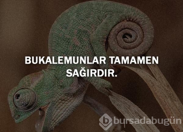 Bunları biliyor musunuz?