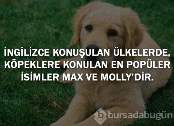 Bunları biliyor musunuz?