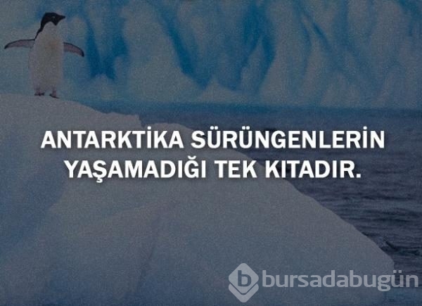Bunları biliyor musunuz?