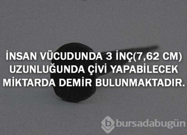 Bunları biliyor musunuz?