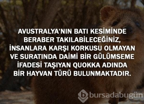 Bunları biliyor musunuz?