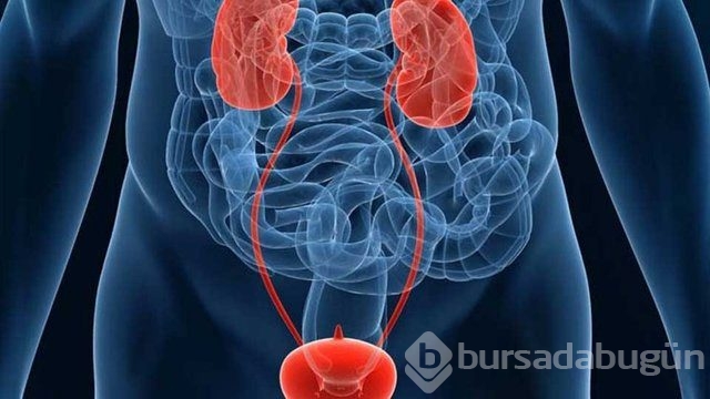 Eğer sigarayı bırakırsanız