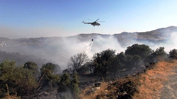 Bodrum'da makilik alanda yangın