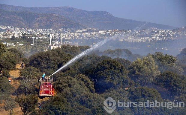 Bodrum'da makilik alanda yangın