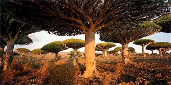 Yeryüzünün gizemli adası