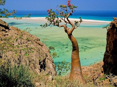 Yeryüzünün gizemli adası