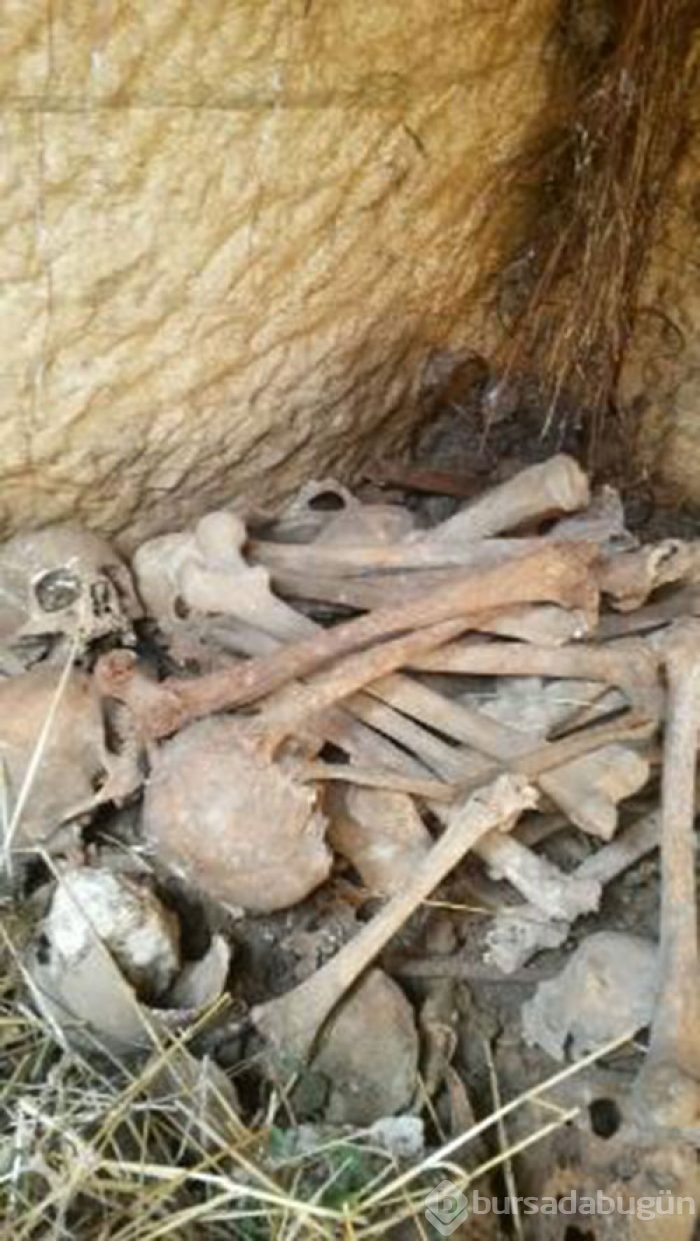 Kütahya'da toplu mezar 60 kafatası bulundu