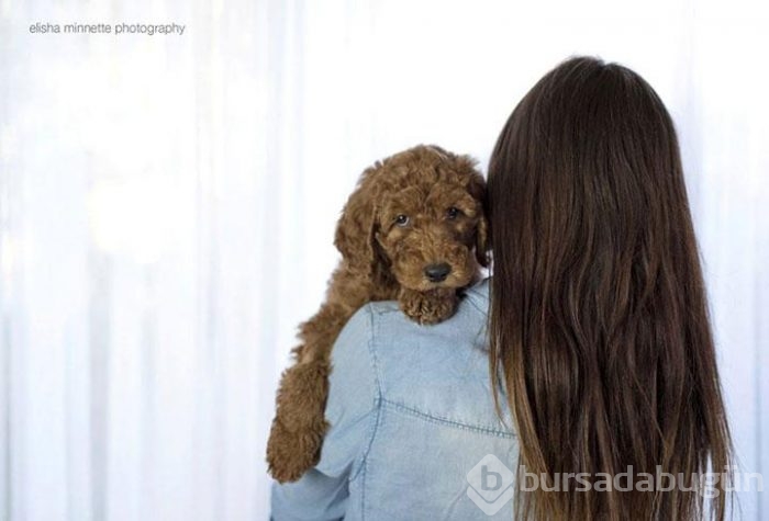 Bebek yerine köpekle poz veren aile
