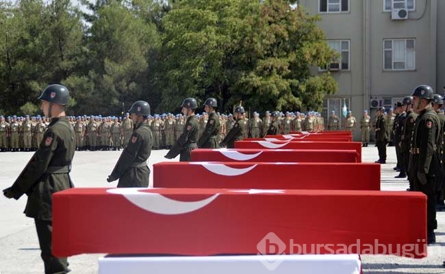MHP'ye kurulan tuzak deşifre oldu