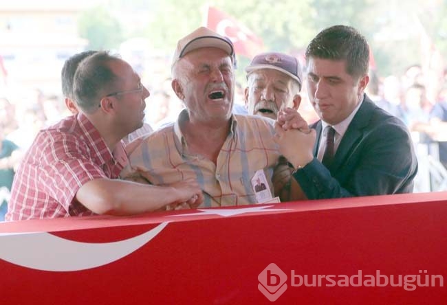 En fazla şehit veren illerimiz