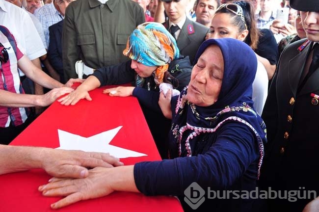 En fazla şehit veren illerimiz