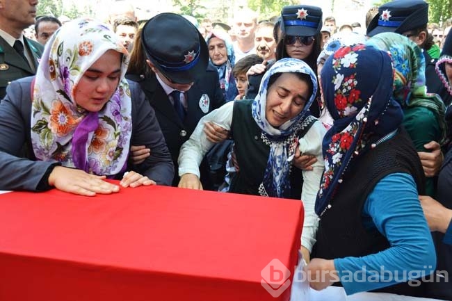 En fazla şehit veren illerimiz