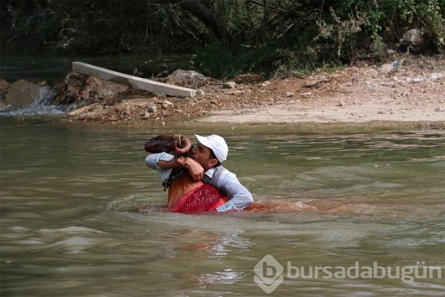 Sudan Koyun Geçirme yarışı
