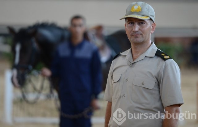 Bu atlar çok özel!
