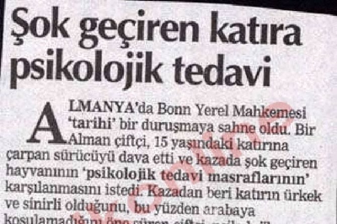 Komik haber manşetleri
