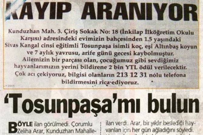 Komik haber manşetleri
