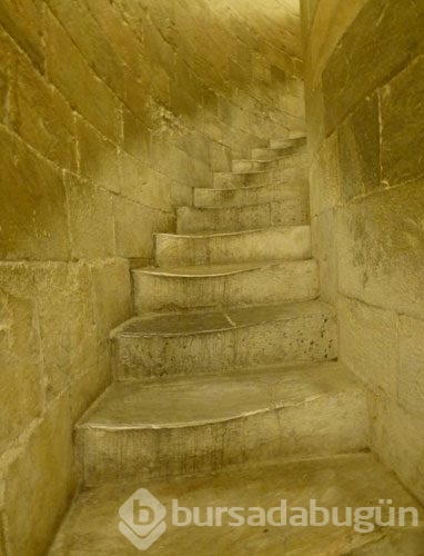 İşte Pisa Kulesi'nin içi