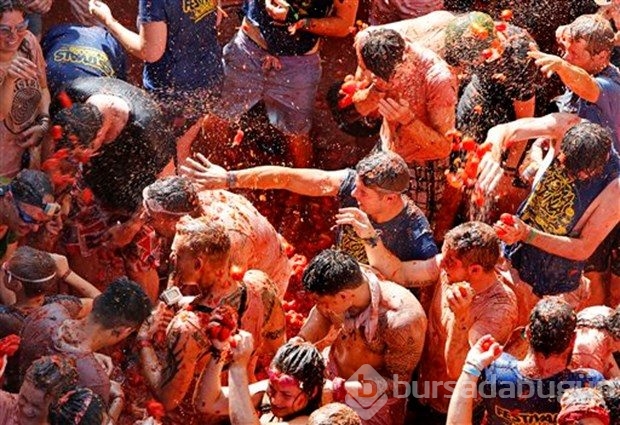 İspanya'da domates festivali