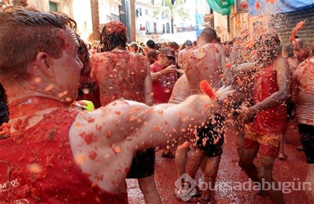 İspanya'da domates festivali