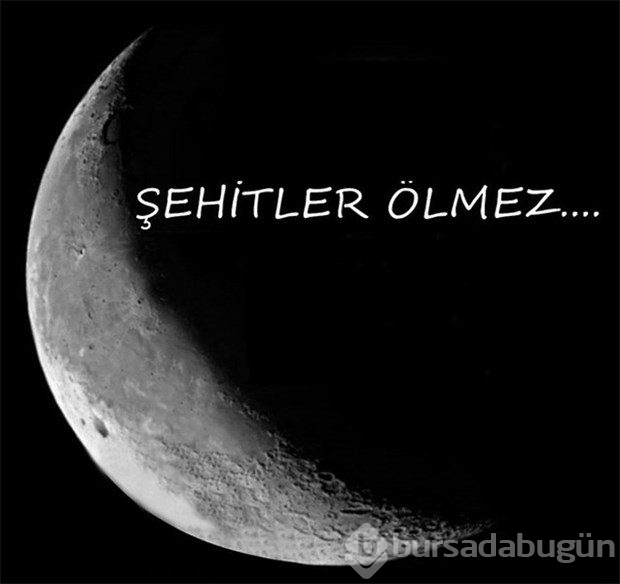 Spor camiası yasta