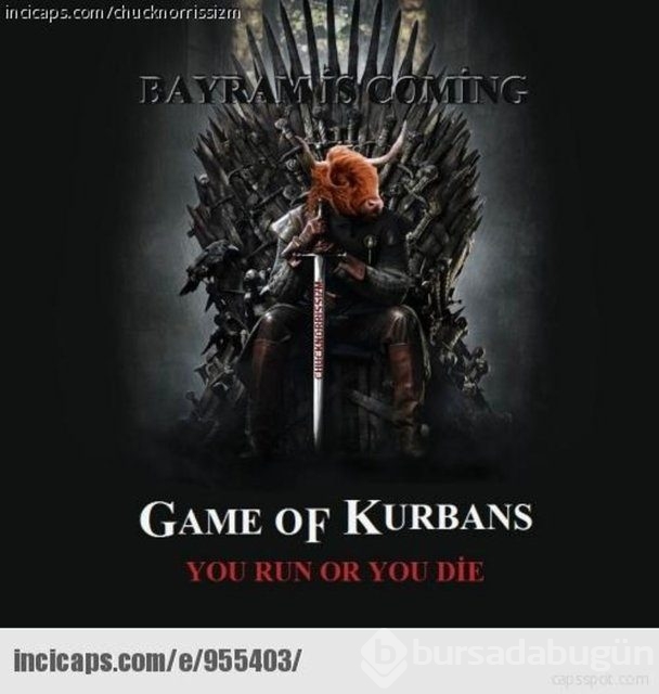 En iyi 'Kurban Bayramı' capsleri!
