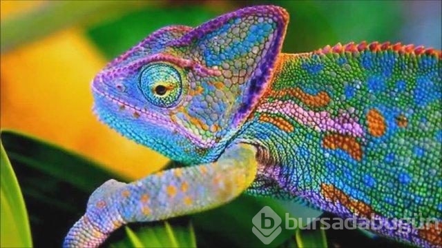Gözler hakkında çarpıcı gerçekler!