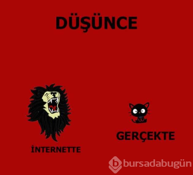 İnternet hayatımızda neler değiştirdi?