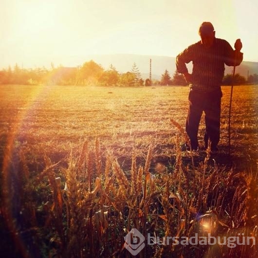 Türkiye'deki şehirler isimlerini nereden alıyor?