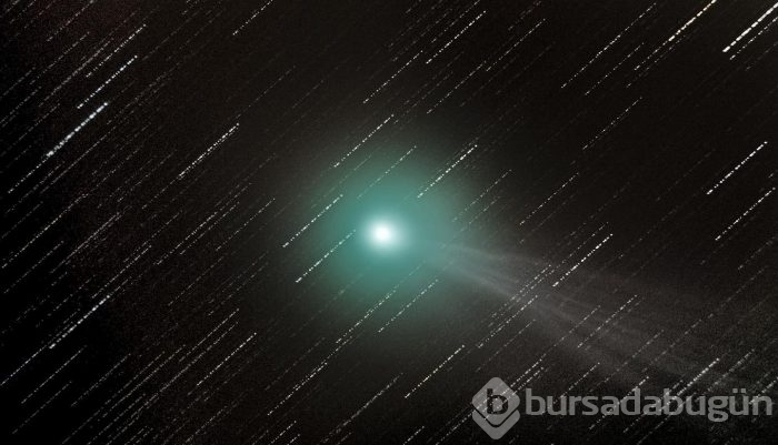 2015'in ödüllü 11 büyüleyici fotoğrafı