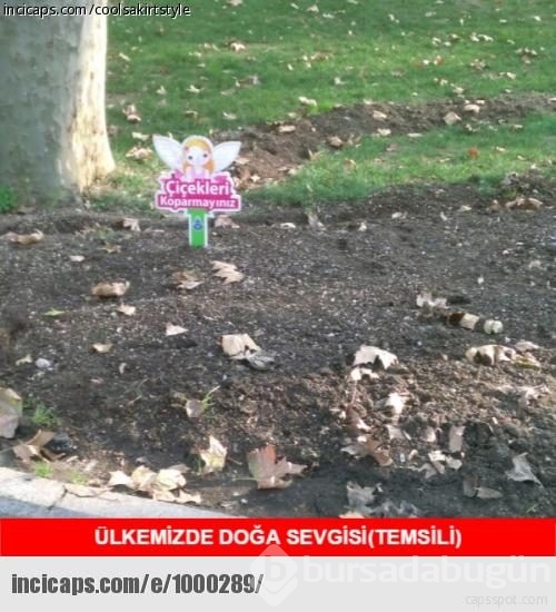 Türkiye'den caps gibi fotoğraflar