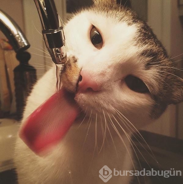İnstagram'da ünlüler 1 Ekim 2015