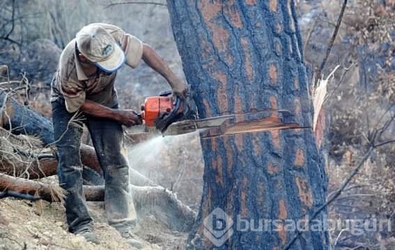 Ölümün kıyısında gezenler