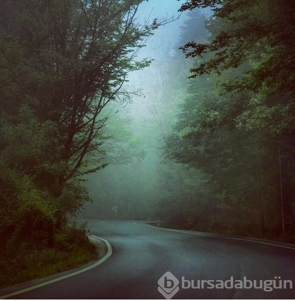 İnstagram'da ünlüler 08.10.2015