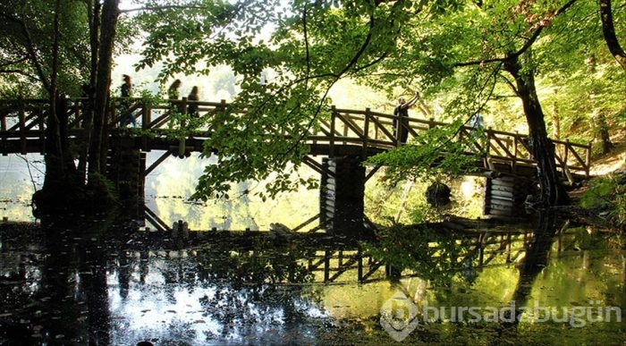 Yedigöller'e ulaşım kolaylaştı