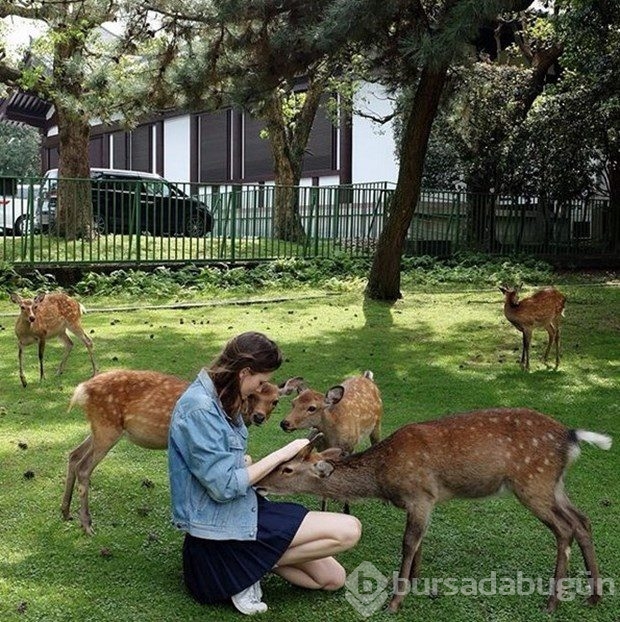 Instagram'ın popüler kentleri