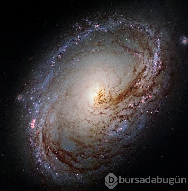 Hubble, uzayda gizemli objeler saptadı!
