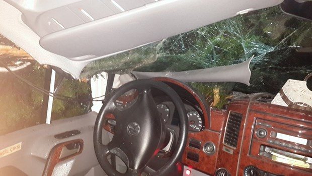 MHP'li adayları taşıyan aracın üzerine ağaç düştü