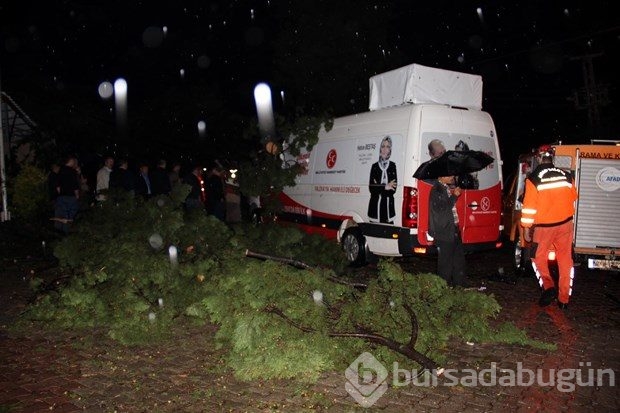 MHP'li adayları taşıyan aracın üzerine ağaç düştü
