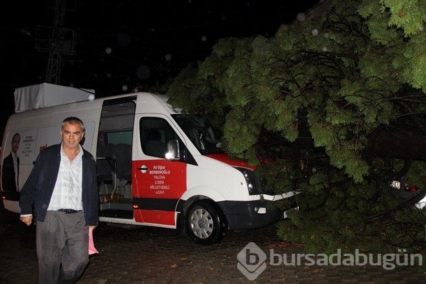 MHP'li adayları taşıyan aracın üzerine ağaç düştü